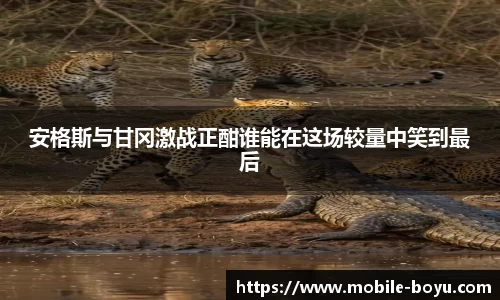 安格斯与甘冈激战正酣谁能在这场较量中笑到最后